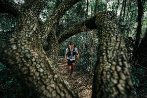 BIB: 
                            <button type="button" onclick="openModal(25392124)" class="btn btn-primary btn-sm float-right btn-popup" data-toggle="modal" data-target=".modal-high-quality">
                        <i class="fas fa-shopping-cart"></i> Add to Cart
                    </button>
                                            <button type="button" onclick="isThisMe(25392124, true)" class="btn btn-success btn-sm float-right btn-popup btn-isme hidden" data-toggle="tooltip" data-placement="bottom" title="นี่คือรูปของคุณใช่ไหม คลิกที่นี่เพื่อเอาเข้าอัลบั้ม">
                        <i class="fas fa-plus"></i> Add to album
                    </button>
                    <button type="button" onclick="isThisMe(25392124, false)" class="btn btn-warning btn-sm float-right btn-popup btn-isnotme hidden">
                        <i class="fas fa-ban"></i> Remove from album
                    </button>